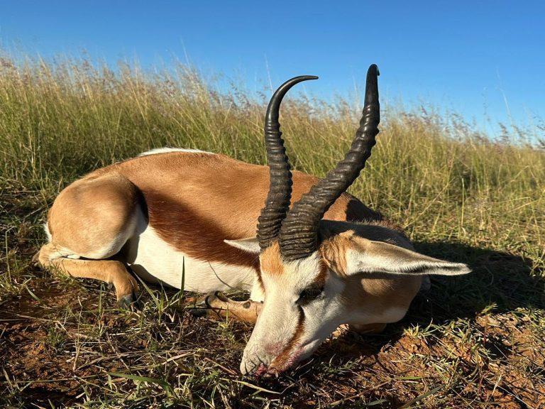 PHOTO 2026 01 20 13 23 113 768x576