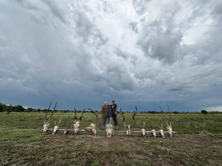 PHOTO 2026 01 20 13 23 13 768x576