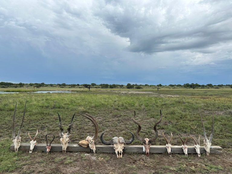 PHOTO 2026 01 20 13 23 131 768x576