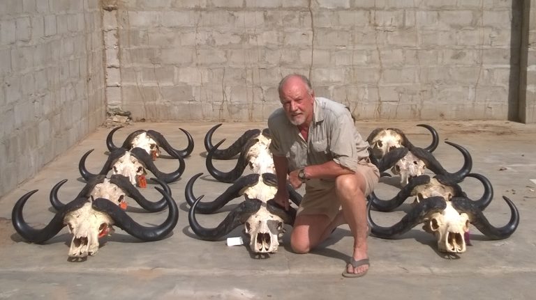 WP 20151124 14 42 09 Pro 768x431