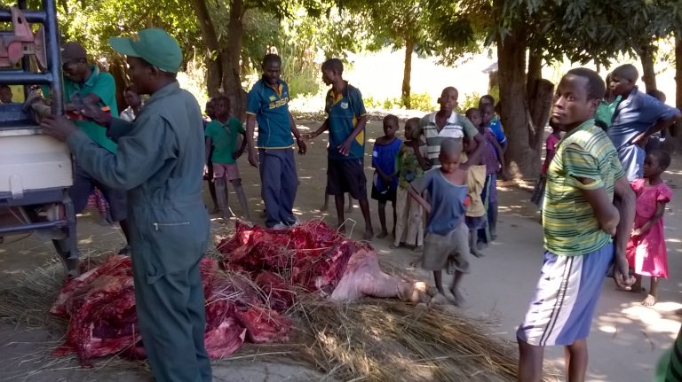 WP 20160605 12 02 49 Pro 768x431