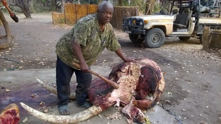 WP 20160928 06 19 55 Pro 768x431