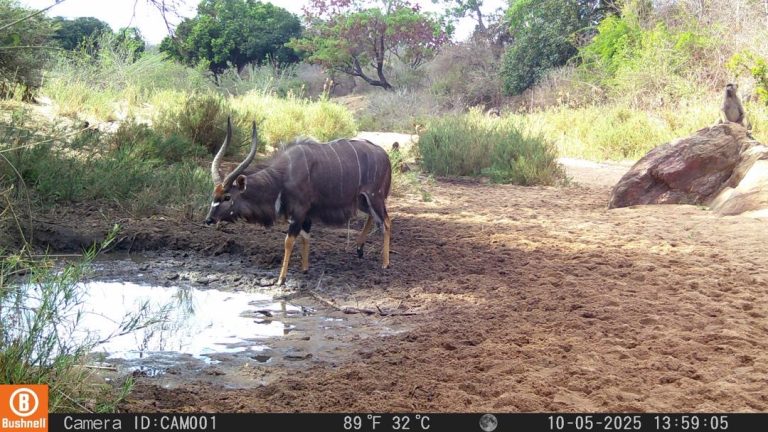 a983deaf 34cd 43a3 8f08 33822aab837d 768x432