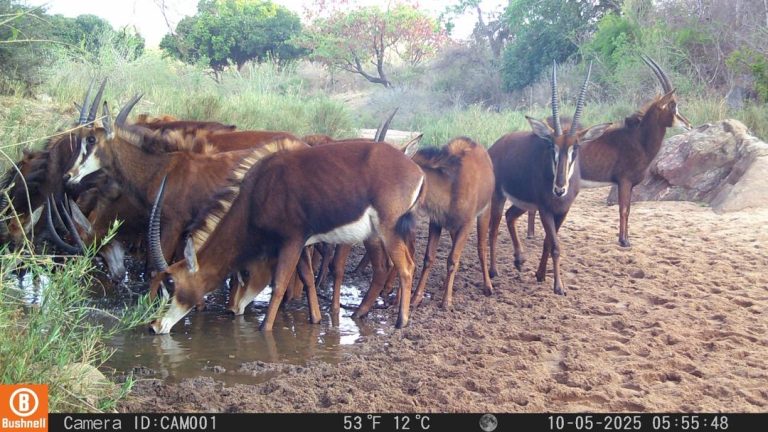 d65ddb13 a210 4d5c 8ec5 3e2ab2adbdca 768x432