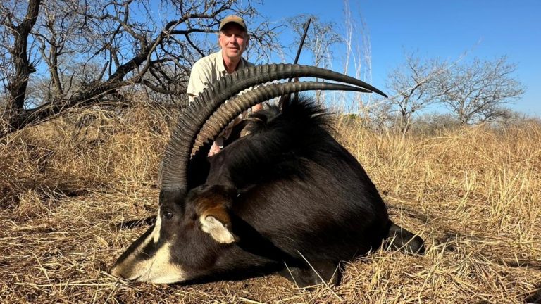 d8987673 a785 4e75 9cfb aca30e8ecd6e 768x432