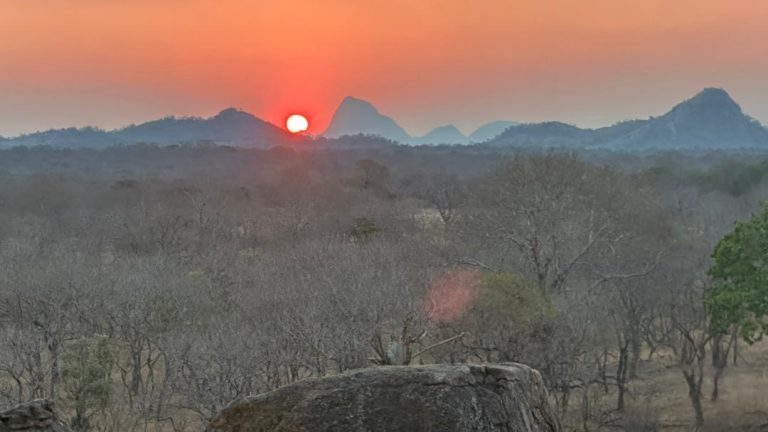 db99f256 7e35 4842 a4b0 0721d9686668 768x432