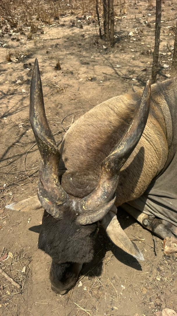 effdfd88 d3a1 4817 bcb0 a514d2a0bbd3