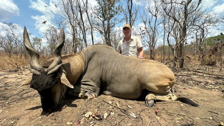 f129d940 eb0f 4af7 a2ca 3130b3479567 768x432