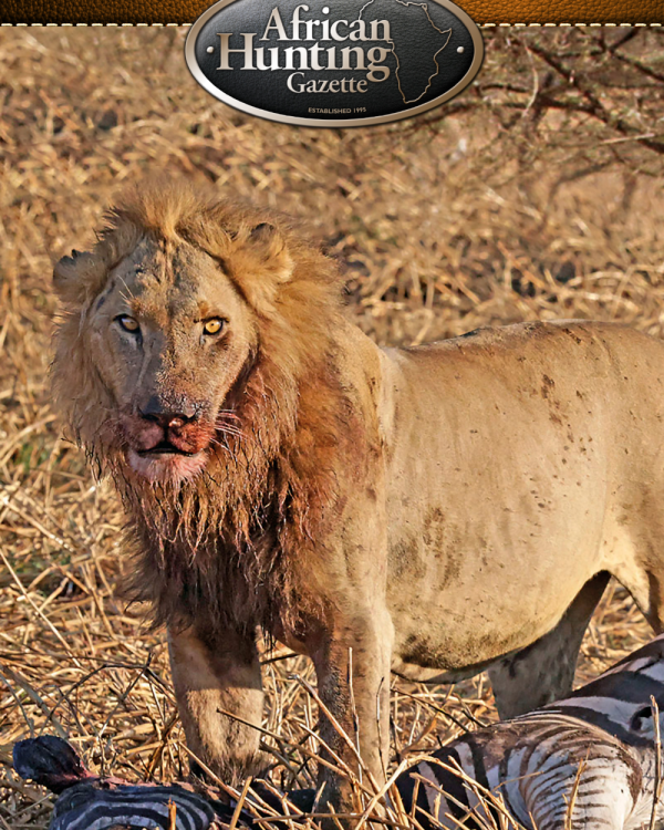 5-Year DIGITAL ONLY Subscription