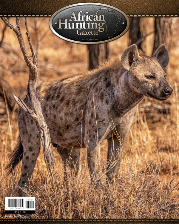 AHG31.3 cover